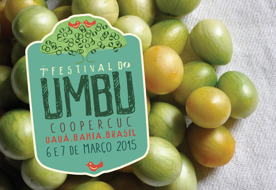 7o festival umbu2015 bahia